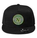 Snapback Kultové Minnesota North Stars Zelenozlatý Erb Severných Hviezd