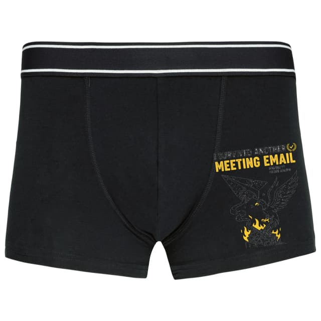 Boxerky Přežil Jsem Další Meetingový Email Fénix Z Hořící Poštovní Schránky
