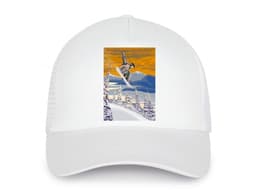 27088_D_tsk__k_iltovka_Snowboard_j_zda_MAIN