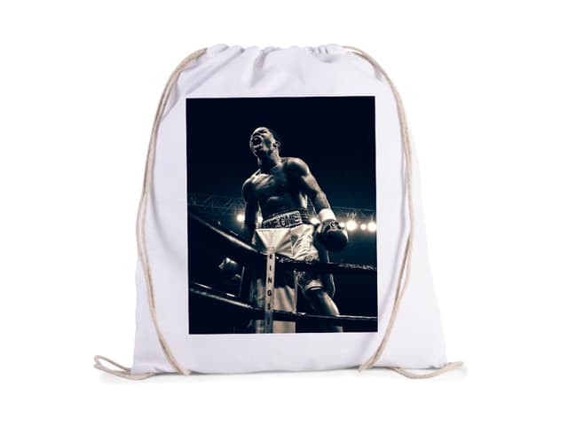 Gervonta Davis taška
