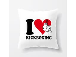 14889_Pol_t___Miluji_kickboxing_MAIN