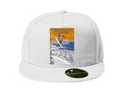 22876_Snapback_Snowboard_j_zda_MAIN