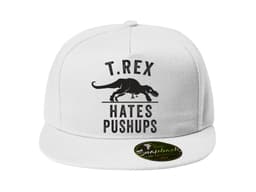 23557_Snapback_Tyranosaurus_nesn____kliky_MAIN