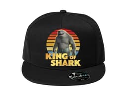 23920_Snapback__ralok_odd_l_MAIN